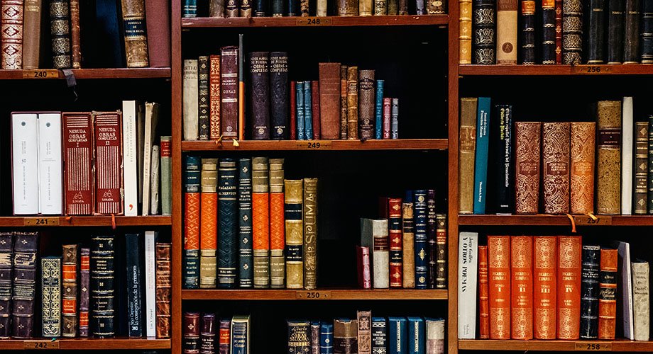 inaki-del-olmo-NIJuEQw0RKg-unsplash